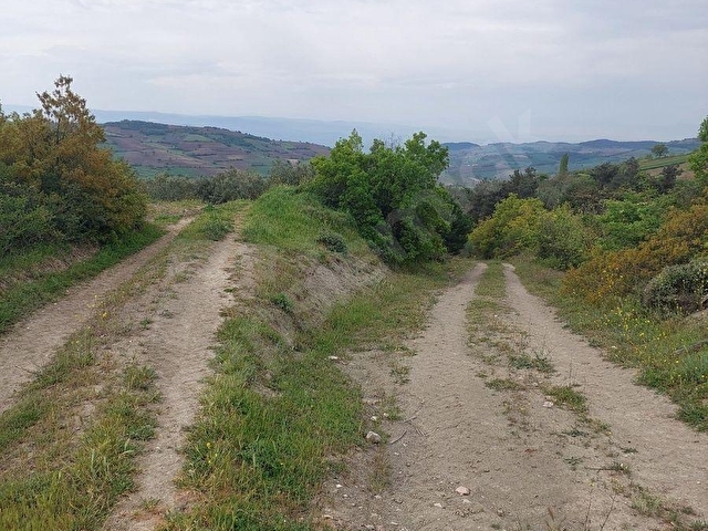 YENİŞEHİR KIZILKÖYDE ACİL SATILIK YAPIYA UYGUN 4950m2 TARLA - Görsel 10