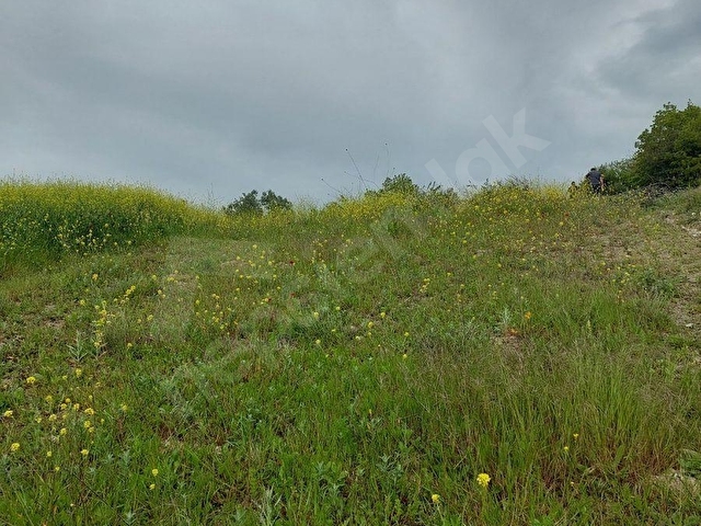 YENİŞEHİR KIZILKÖYDE ACİL SATILIK YAPIYA UYGUN 4950m2 TARLA - Görsel 27