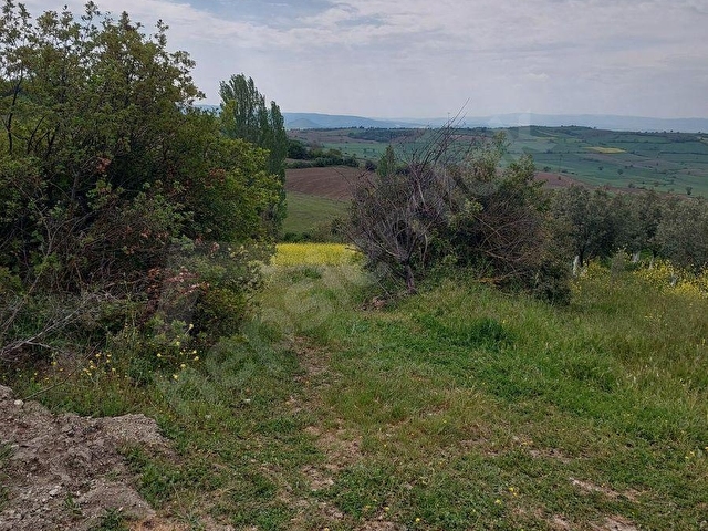 YENİŞEHİR KIZILKÖYDE ACİL SATILIK YAPIYA UYGUN 4950m2 TARLA - Görsel 15