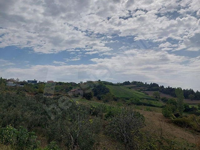 YENİŞEHİR KIZILKÖYDE ACİL SATILIK YAPIYA UYGUN 4950m2 TARLA - Görsel 22