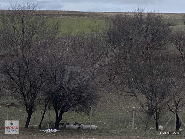 Gölbaşı Karaoğlanda Özel Konumlu Villa Parseli - Görsel 3