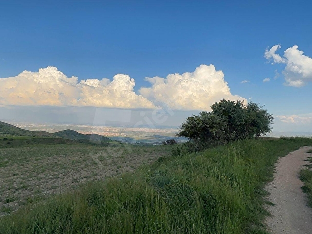 PANORAMİK MANZARALI ASFALT KENARI HİSSE TAPULU BAHÇE - Görsel 19