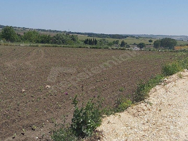 LOJİSTİK DEPOLAMA VE TIR PARKINA MÜSAİT 14747 M - Görsel 16