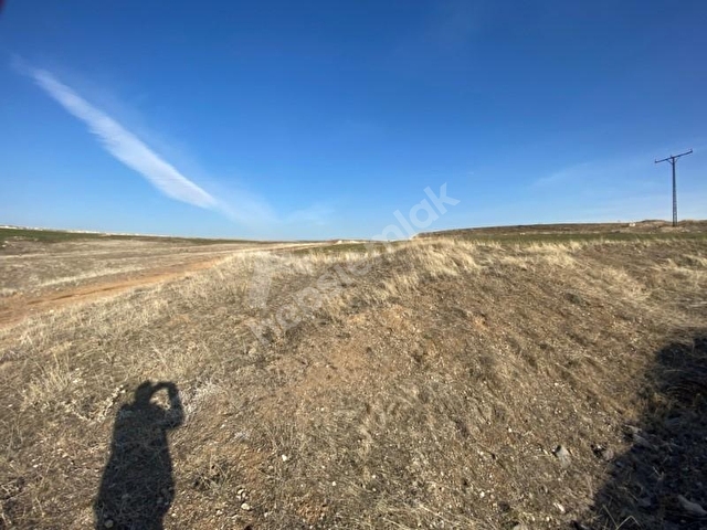 ziraat bankasi ndan baglum mahallesi nde 113 1220 arsa hissesi