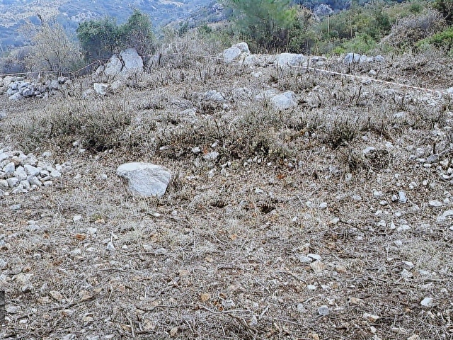 Marmaris, Söğütde yatırımlık tarla - Görsel 3