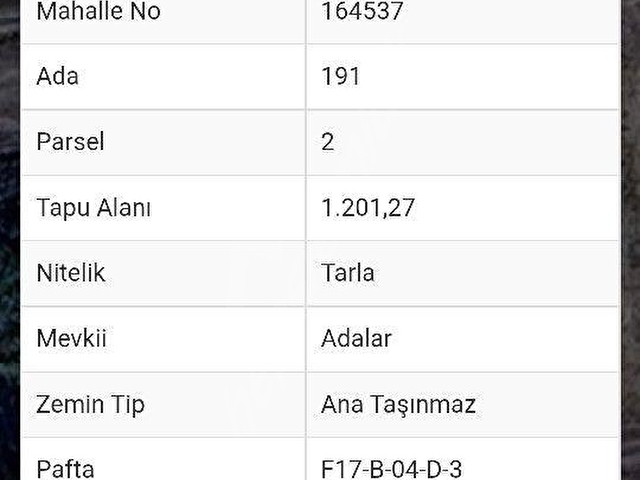 1200 m2 TEK TAPU KÖY DİBİNDE - Görsel 4