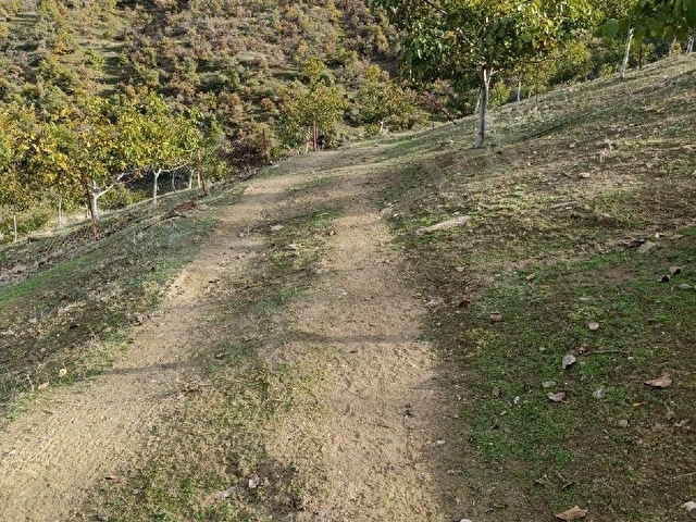 Manisa Kula Bebekli Mah. Satılık Cevizli Tarla 21 Dönüm - Görsel 13