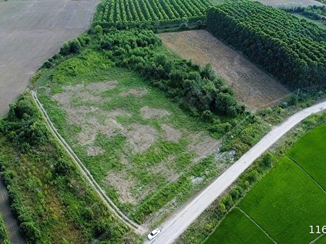 SAMSUN ÇINARLIKDA HAVALİMANI VE ANAYOLA YAKIN KÖŞEBAŞI ARSA - Görsel 21
