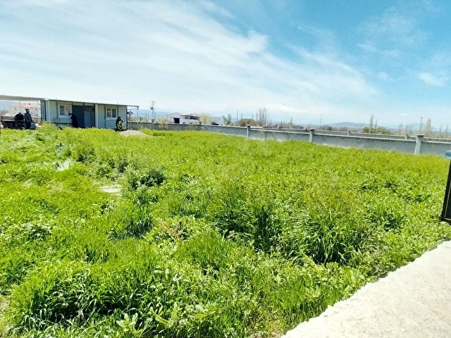 KAYSERİ KOCASİNAN KİRALIK BAĞ HOBİ BAHÇESİ KONTEYNER EV