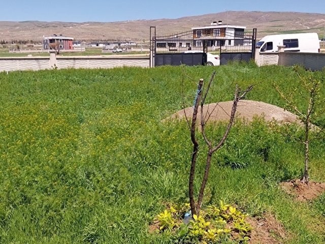 KAYSERİ KOCASİNAN KİRALIK BAĞ HOBİ BAHÇESİ KONTEYNER EV - Görsel 16