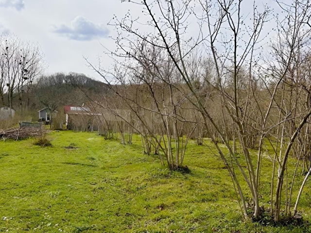 ŞİLE AĞVA GEREDELİ KÖYÜNDE 393 m2 ARAZİ - Görsel 2
