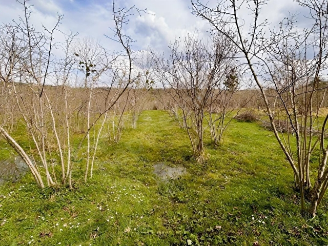 ŞİLE AĞVA GEREDELİ KÖYÜNDE 393 m2 ARAZİ - Görsel 9