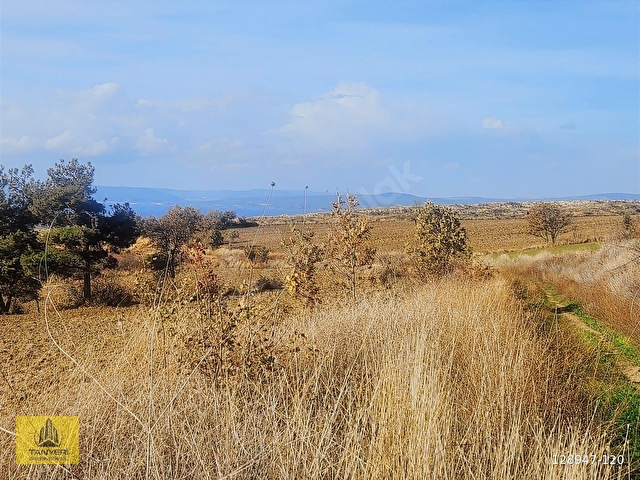 Çanakkale Merkez Yukarıokçular Satılık Boğaz Manzaralı Tarla. - Görsel 29