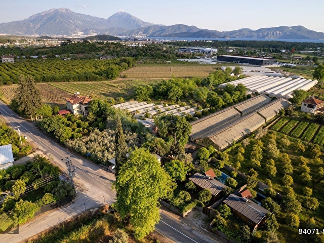ÇİFTLİK-KARGI 20DÖNÜM SERA VE NARENCİYE BAHÇESİ - Görsel 11