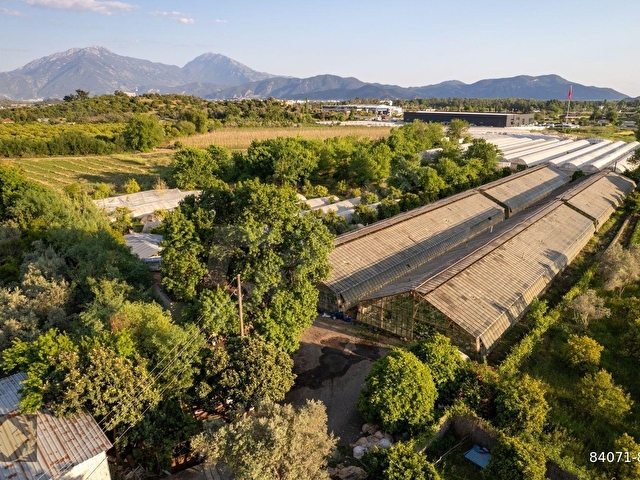 ÇİFTLİK-KARGI 20DÖNÜM SERA VE NARENCİYE BAHÇESİ - Görsel 22