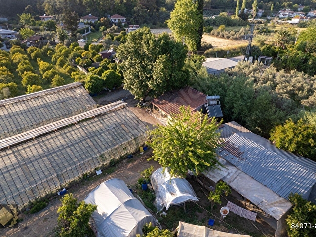 ÇİFTLİK-KARGI 20DÖNÜM SERA VE NARENCİYE BAHÇESİ - Görsel 18
