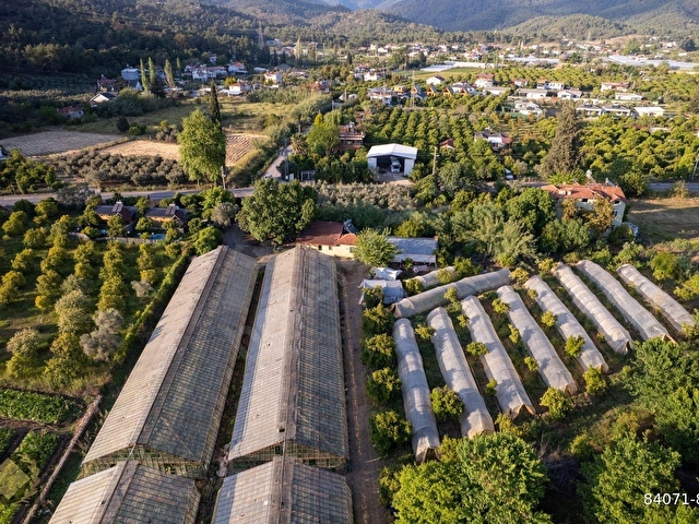 ÇİFTLİK-KARGI 20DÖNÜM SERA VE NARENCİYE BAHÇESİ - Görsel 17