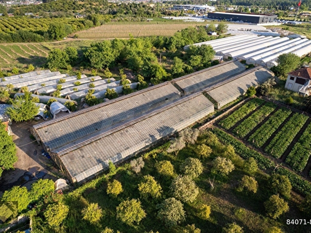 ÇİFTLİK-KARGI 20DÖNÜM SERA VE NARENCİYE BAHÇESİ - Görsel 12