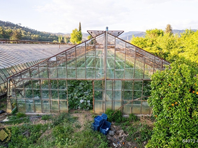 ÇİFTLİK-KARGI 20DÖNÜM SERA VE NARENCİYE BAHÇESİ - Görsel 29