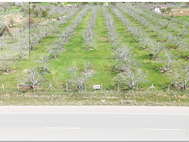 TAVAS KARACASU KARAYOLU ÜSTÜ EV VE  24.088m2 TARLA İŞLETMESİ - Görsel 20