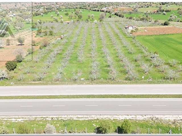 TAVAS KARACASU KARAYOLU ÜSTÜ EV VE  24.088m2 TARLA İŞLETMESİ - Görsel 13