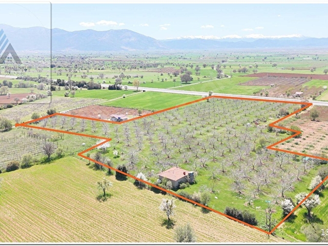 TAVAS KARACASU KARAYOLU ÜSTÜ EV VE  24.088m2 TARLA İŞLETMESİ - Görsel 5