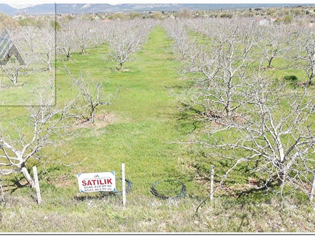 TAVAS KARACASU KARAYOLU ÜSTÜ EV VE  24.088m2 TARLA İŞLETMESİ - Görsel 19