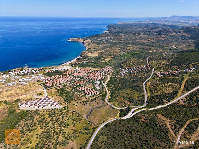 Ayvacık,Babakalede İmar Sınırında Yatırımlık Zeytinlik Fırsatı - Görsel 10