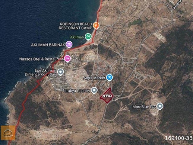 Ayvacık,Babakalede İmar Sınırında Yatırımlık Zeytinlik Fırsatı - Görsel 2
