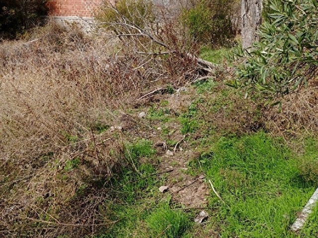 ŞOK FİAT TELEFON PARASINA  ÇOK ACİL İHTİYAÇTAN  KÖY İÇİ ARSA 85 METRE - Görsel 5