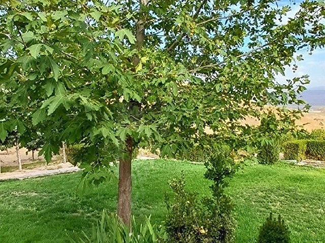 Doğal taş yapımı erciyes manzaralı bağ evi - Görsel 20