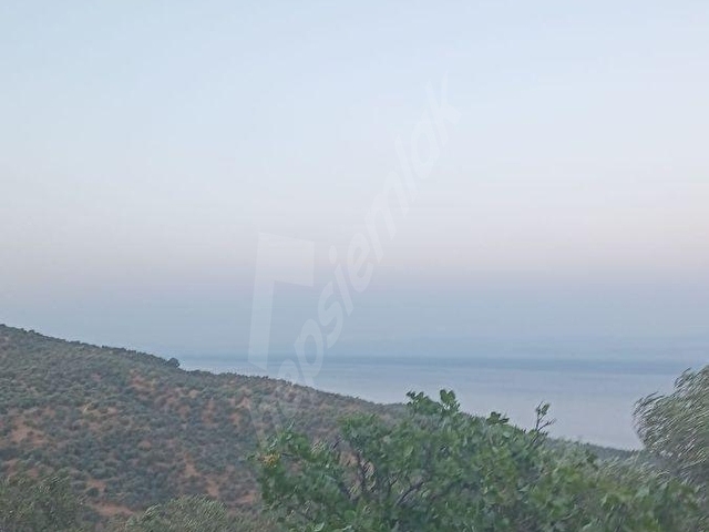 ÇANAKKALE AYVACIK ARIKLI DA FUUL DENİZ GÖREN ARAZİ - Görsel 8