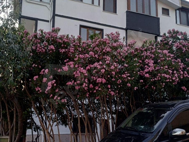 Yalova Armutluda Deniz Manzaralı Satılık Fourleks Villa - Görsel 19