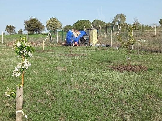 Ayaş Başayaş Mahallesi 720m2 tapulu bahçe teli çevrili - Görsel 26