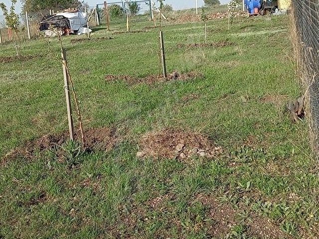 Ayaş Başayaş Mahallesi 720m2 tapulu bahçe teli çevrili - Görsel 23