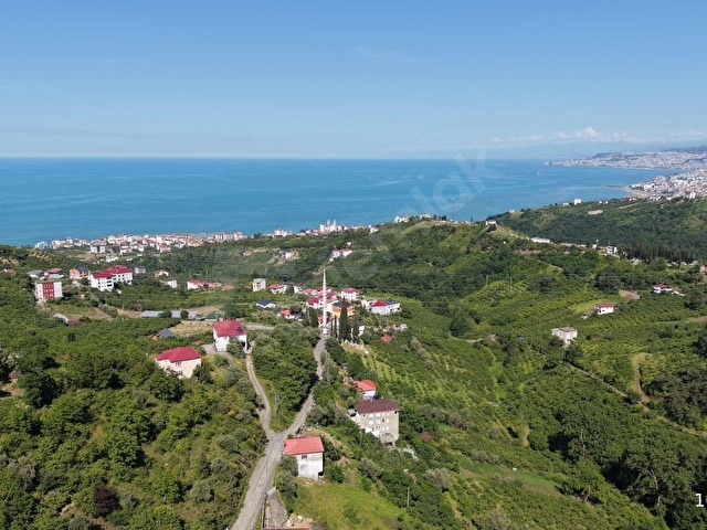 AKÇAABAT DARICA 1468 m2 DENİZ MANZARALI SAHİLE YAKIN ARSA - Görsel 7