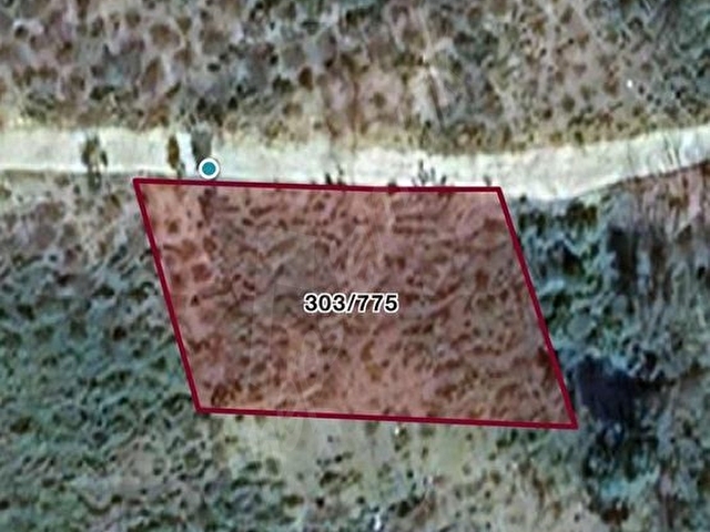 AKÇAABAT DARICA 1468 m2 DENİZ MANZARALI SAHİLE YAKIN ARSA - Görsel 2
