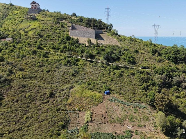 AKÇAABAT DARICA 1468 m2 DENİZ MANZARALI SAHİLE YAKIN ARSA - Görsel 4