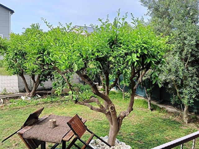 KALE İÇİNE YÜRÜME MESAFESİNDE GENİŞ BAHÇELİ 1+1 BÜYÜTÜLEBİLİR - Görsel 7