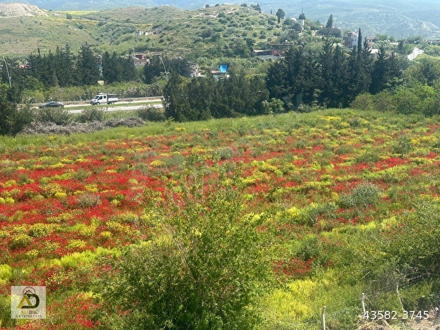 ALİ DİK GAYRİMENKUL’DEN SATILIK 800 M2 ARSA - Görsel 13