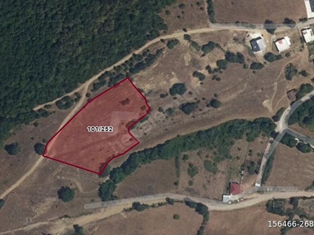 KAVAK ÇAKALLI MAHALLESİ SATILIK TARLA