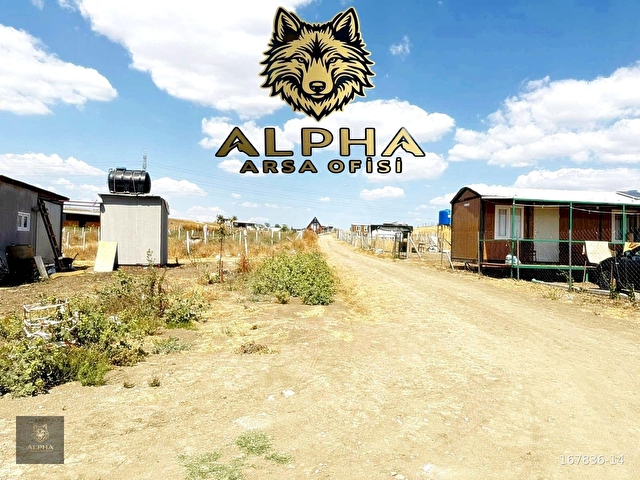 ▇ALPHA▇ŞEHİR KALABALIĞINDAN SIKILMADNIZMI YAZLIĞINIZ BİZDE HAZIR - Görsel 24