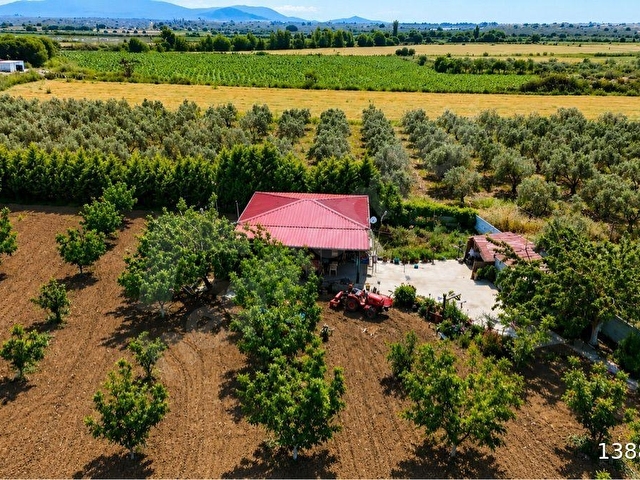 ONMAX BÖREZLİDE SATILIK 4850 M2 TARLA İÇERİSİNDE ÇİFTLİK EVİ BAĞ & BAHÇE - Görsel 5