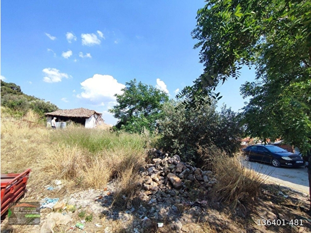 köyün içinde, bahçesinde zeytin ve meyve ağaçları olan geniş bahçeli köy evi satılıktır - Görsel 17