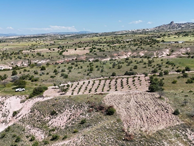 SERTOĞLU EMLAKTAN UÇHİSARDA SATILIK 2.880 m2 ÜZÜM BAĞI - Görsel 3