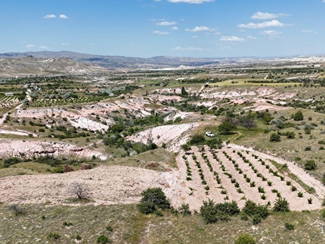 SERTOĞLU EMLAKTAN UÇHİSARDA SATILIK 2.880 m2 ÜZÜM BAĞI - Görsel 5