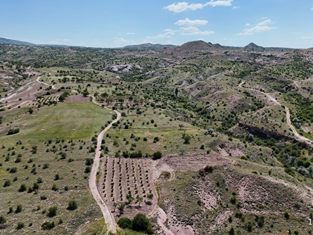 SERTOĞLU EMLAKTAN UÇHİSARDA SATILIK 2.880 m2 ÜZÜM BAĞI - Görsel 17