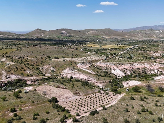 SERTOĞLU EMLAKTAN UÇHİSARDA SATILIK 2.880 m2 ÜZÜM BAĞI - Görsel 14