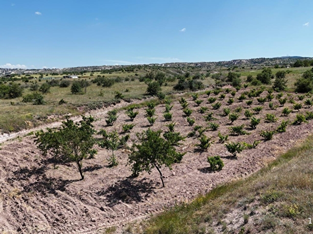 SERTOĞLU EMLAKTAN UÇHİSARDA SATILIK 2.880 m2 ÜZÜM BAĞI - Görsel 23