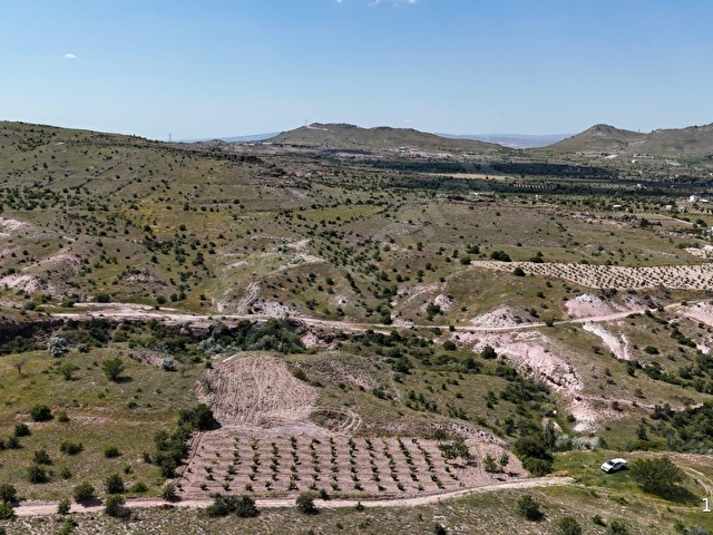 SERTOĞLU EMLAKTAN UÇHİSARDA SATILIK 2.880 m2 ÜZÜM BAĞI - Görsel 15